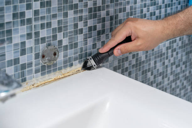 Best Toxic Mold Removal  in Hollywood, SC